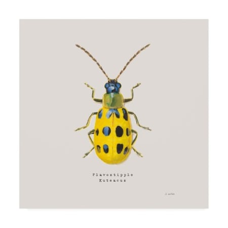 James Wiens 'Adorning Coleoptera Vii Sq Golden' Canvas Art,18x18